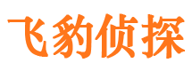 河间侦探公司